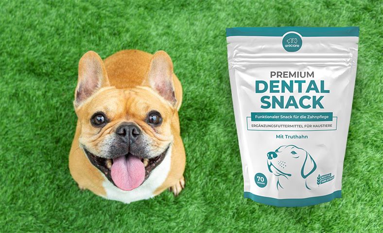 Premium dental snack y un perro feliz