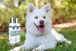 perro Premium Natural Itch Control