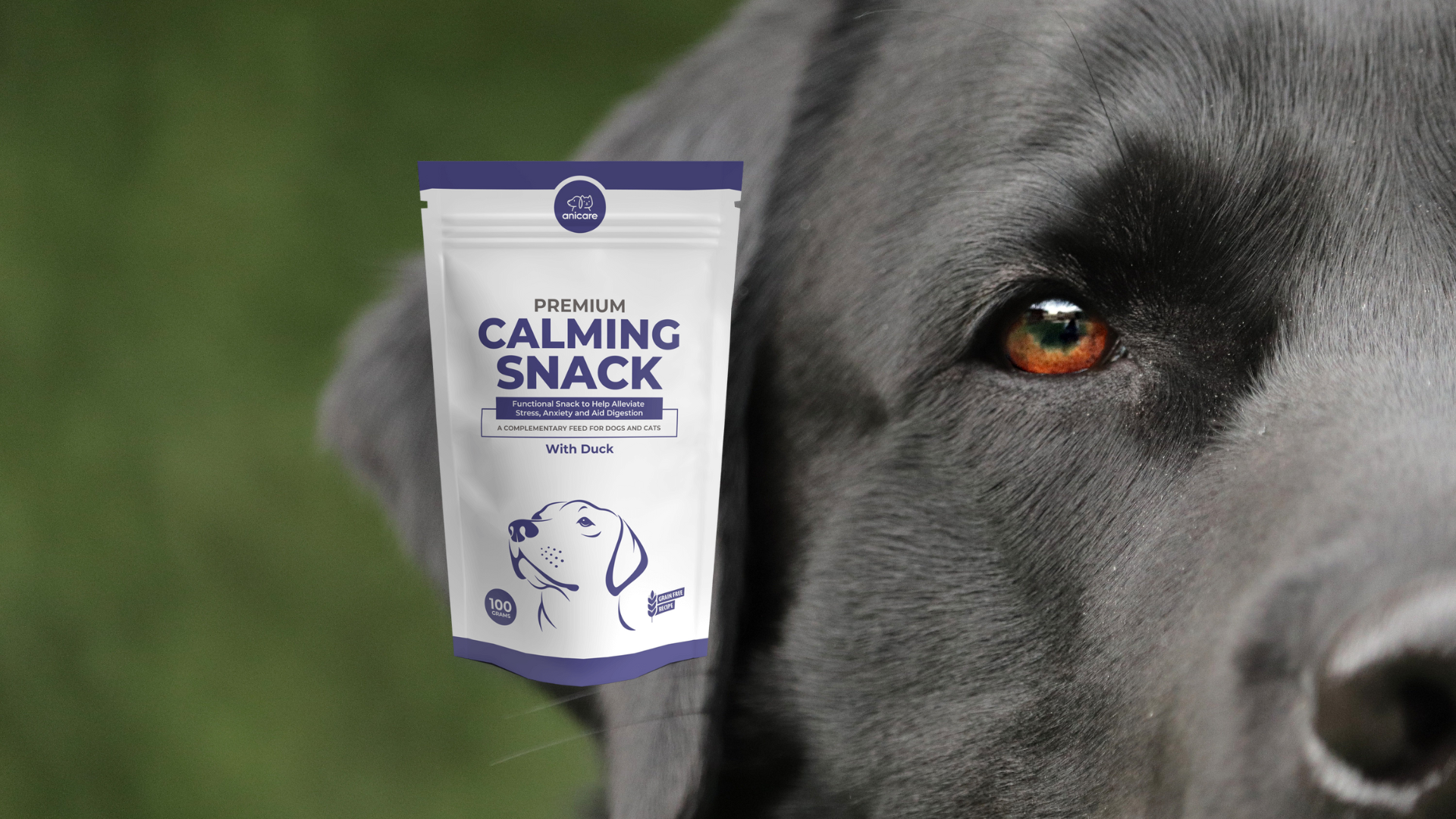 ¿Para quién es adecuado el Snack Calmante Premium? - Premium Calming Snack