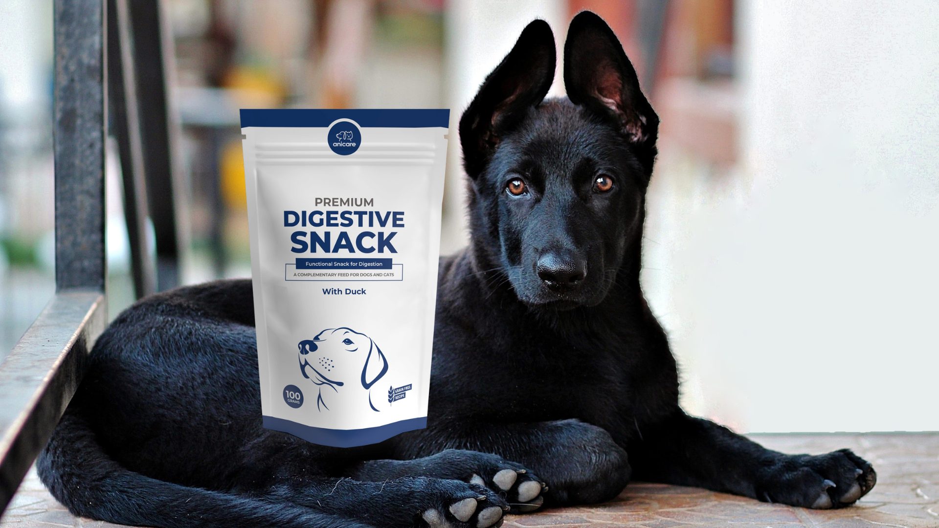 Premium Digestive Snack Header